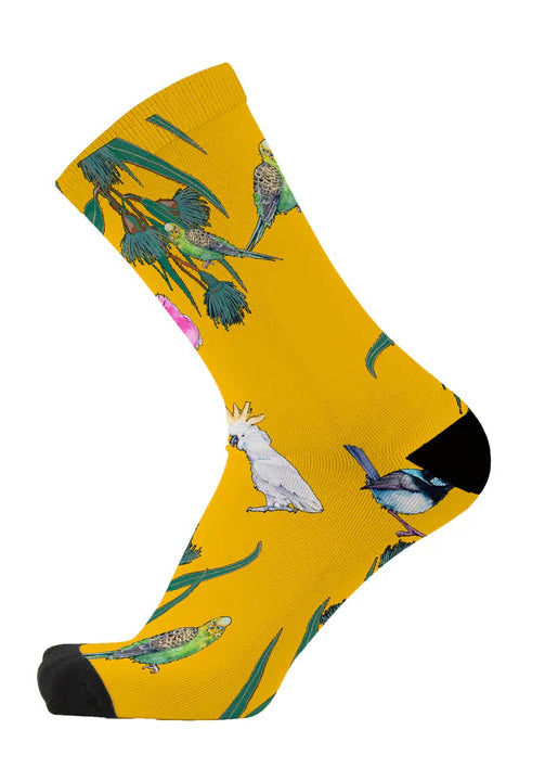 Aussie Land and Sky Sock Box