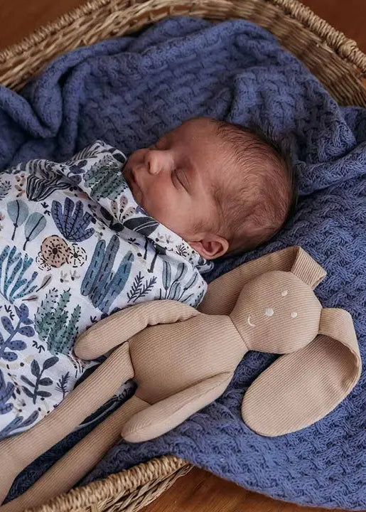 Organic Snuggle Bunny - Pebble