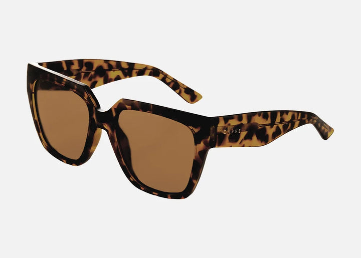 CARVE Brooklyn Gloss Tort - Brown Lens