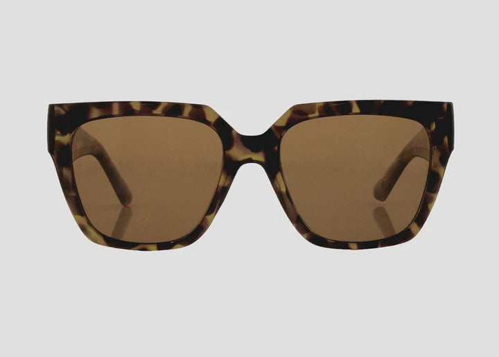 CARVE Brooklyn Gloss Tort - Brown Lens