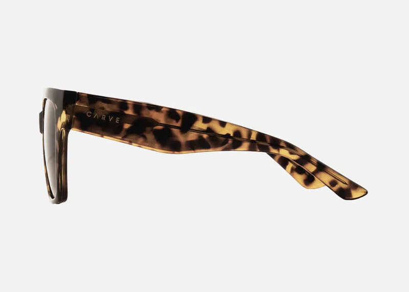 CARVE Brooklyn Gloss Tort - Brown Lens