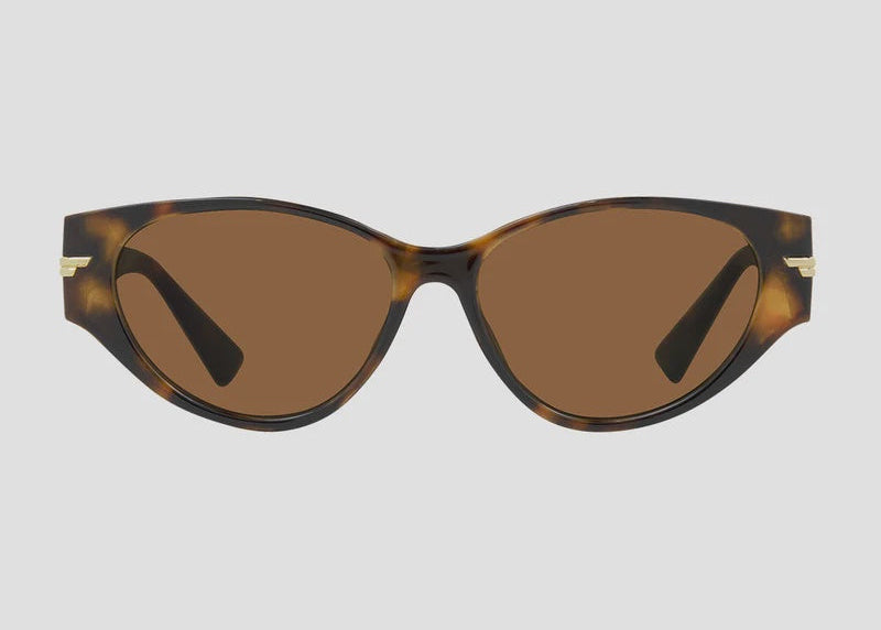 CARVE Rhode Sunny Gloss Tort Brown Lens
