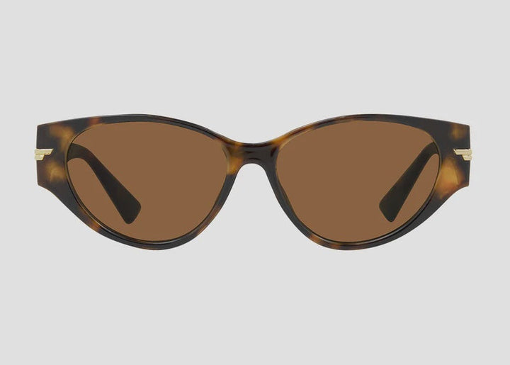 CARVE Rhode Sunny Gloss Tort Brown Lens