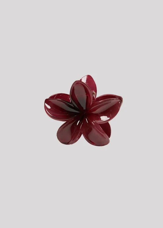 Ruby Hibiscus Clip Port
