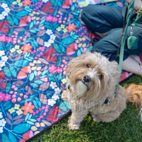 Saltwalter Picnic Co Wildflower Picnic Rug