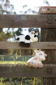 Big Coco the Cow - Black
